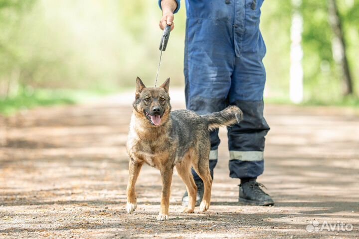 Добрый и преданый Тихон