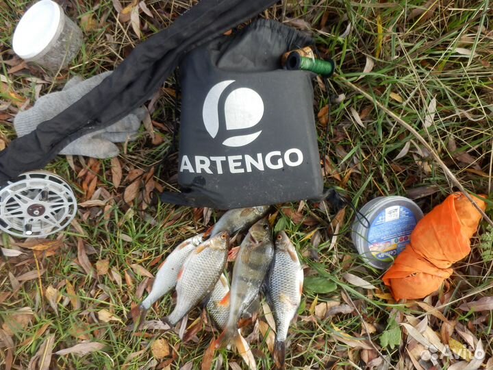 Рыба, деловая таранка