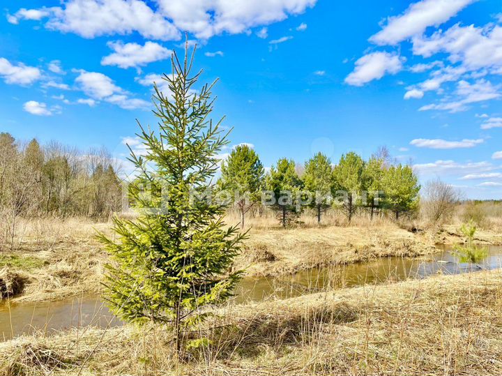 Участок 30 сот. (СНТ, ДНП)