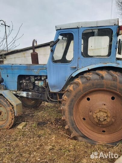 Трактор МТЗ (Беларус) 50, 1975