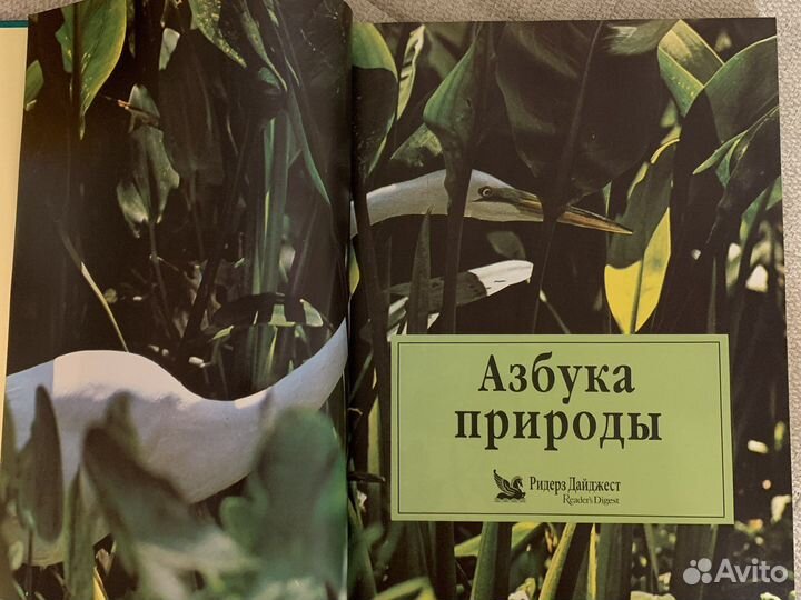 Азбука природы