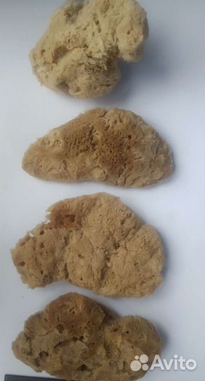 Натуральная морская губка