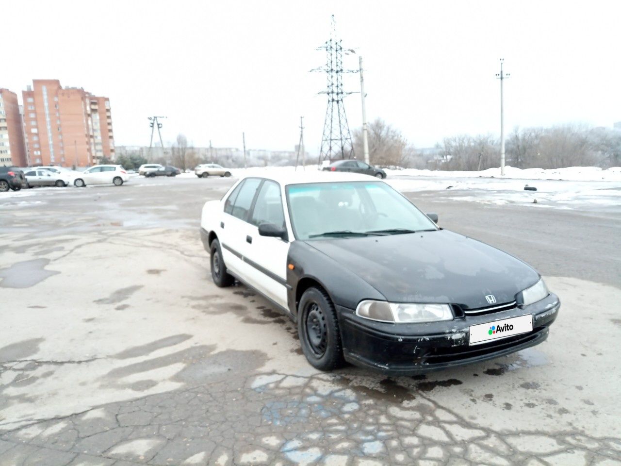 Honda Accord: фото владельца