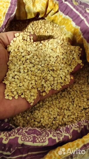 Семена сладкого перца 