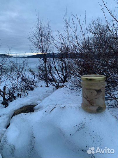 Печень трески