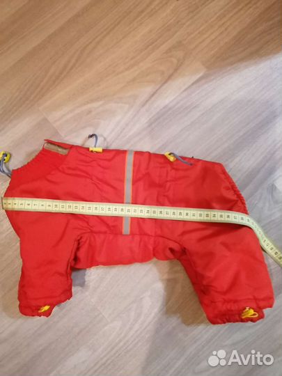 Дождевик для маленькой собаки