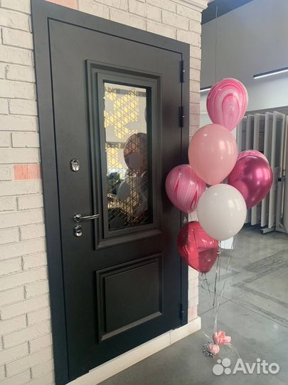 Дверь входная Опал