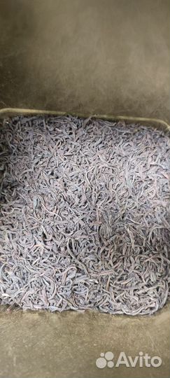 Кенийский чай Kangaita OP