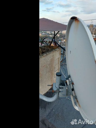 Тарелка Триколор