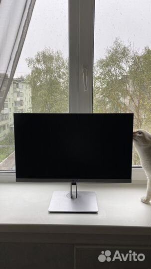 Монитор hp elite