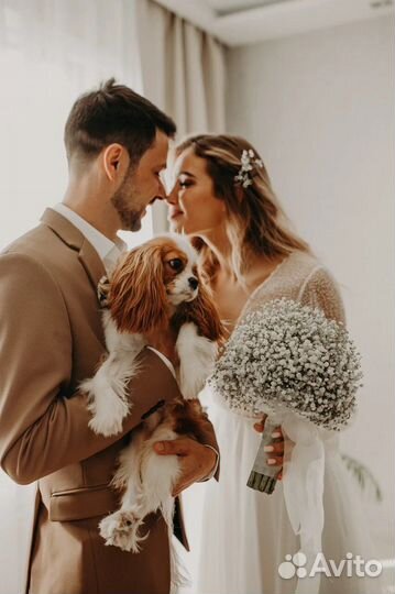 Свадебный организатор/координатор