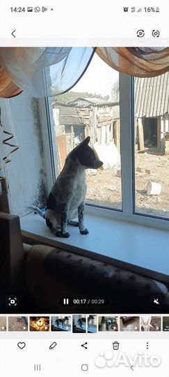 Малыш Диверсант