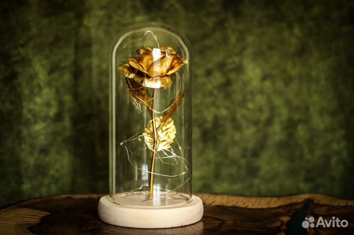 Цветок в колбе с подсветкой