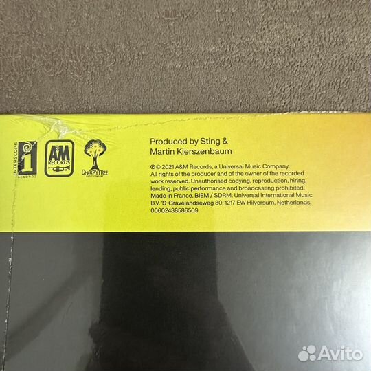 Sting SS - the Bridge Germany