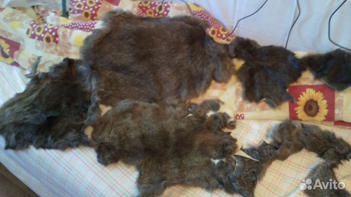 Шкурки кролика