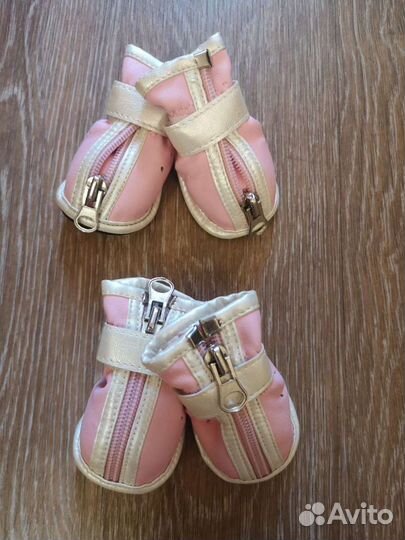 Обувь для собак