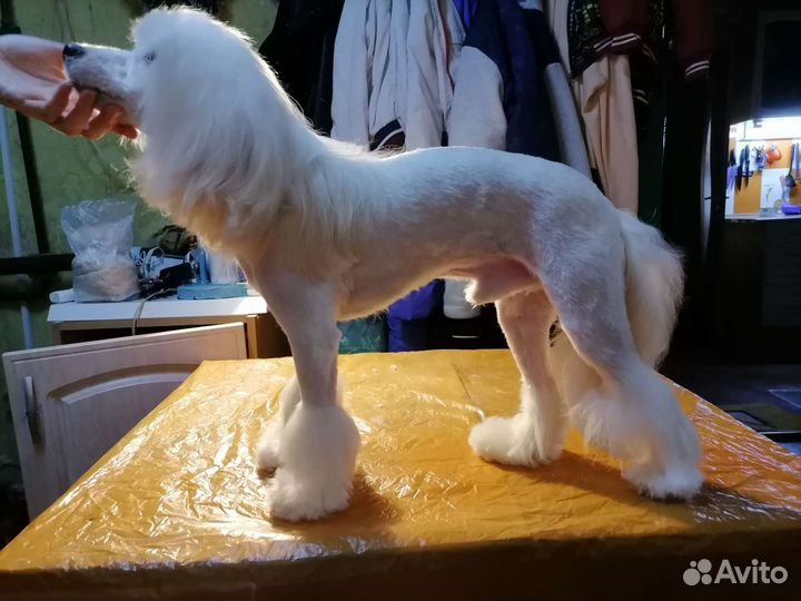 Стрижка животных