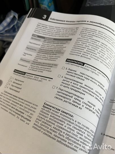 Анатомия атлас раскраска