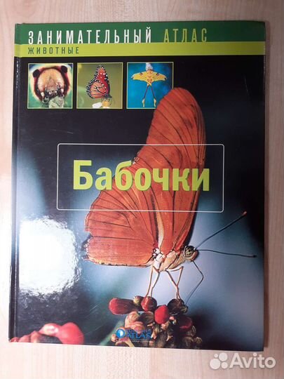 Занимательный атлас. Бабочки