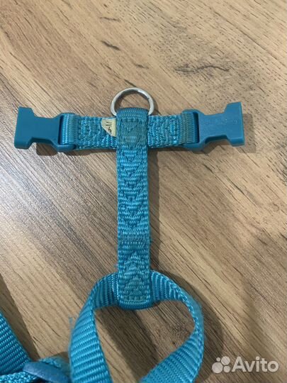 Амуниция для собак