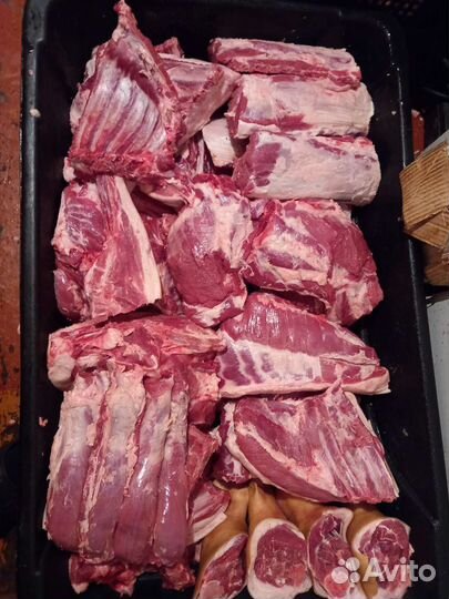 Мясо свинина домашняя