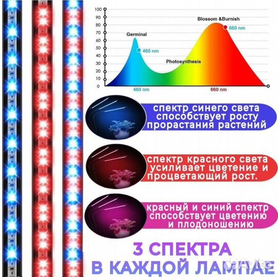 Фито лампа для растений 4 головы