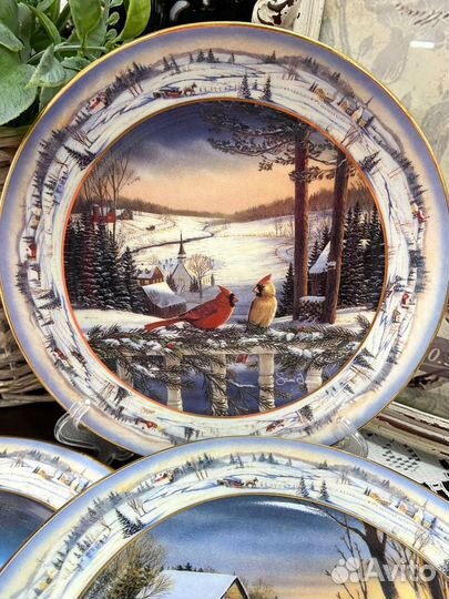 Эксклюзивные тарелки, которые имеют Bradex Number