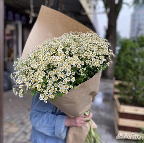 Ромашки кустовые букет