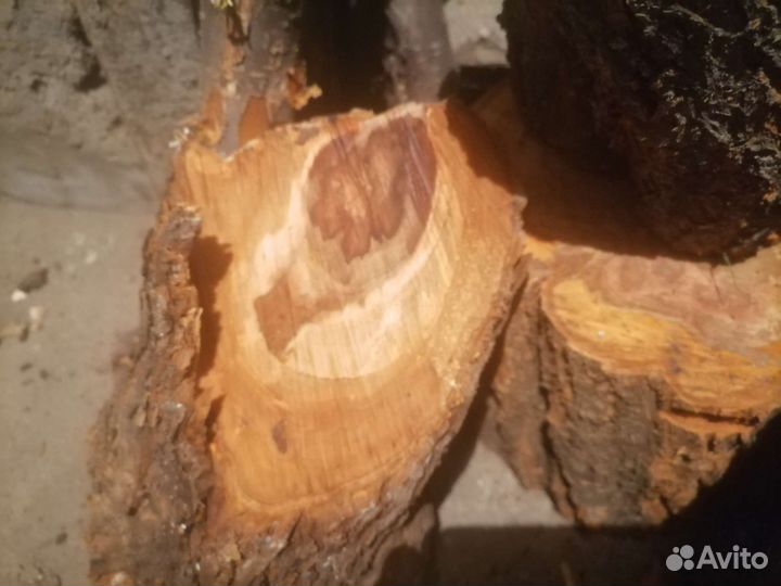 Слива для поделок слэб