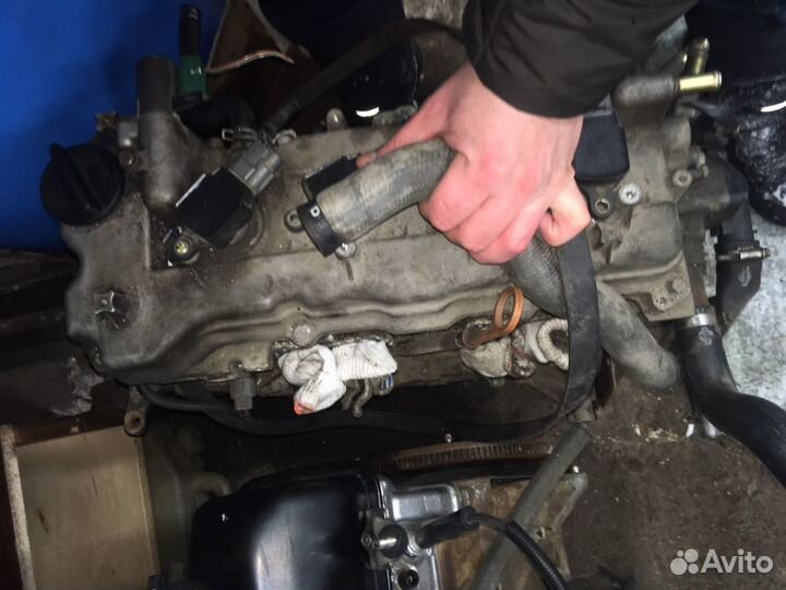 Двигатель qg15de Nissan Almera N 16
