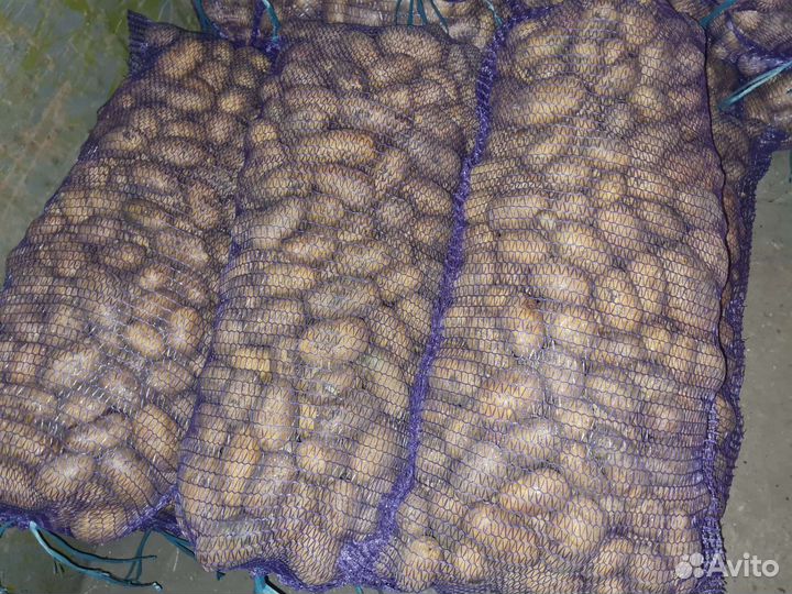 Продукты питания