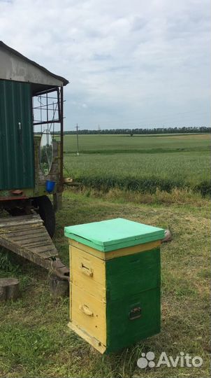 Ульи для пчел