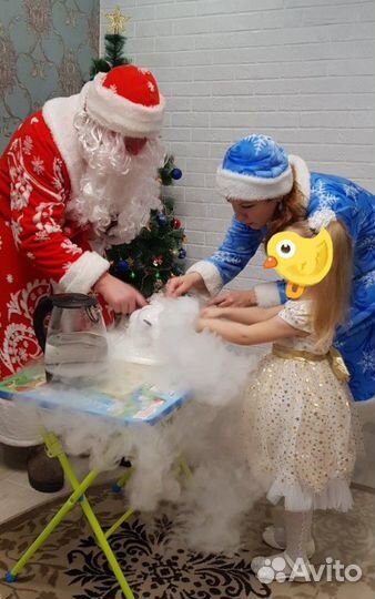 Дед Мороз и Снегурочка 