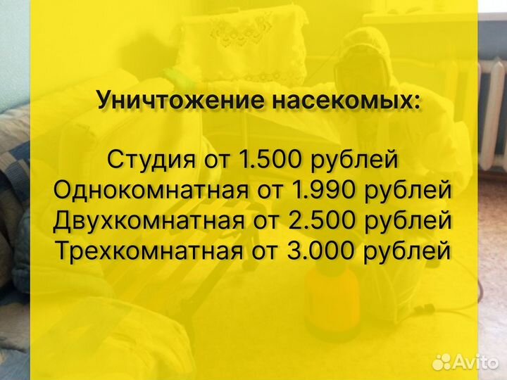 Дезинфекция тараканов клопов травить грызунов