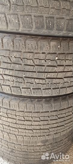 Goodyear Ice Navi Zea