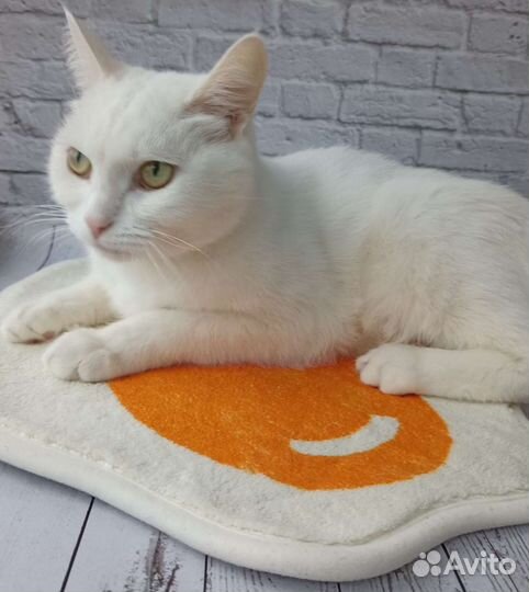 Забавный коврик в виде яичницы глазуньи