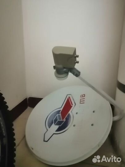 Тарелка триколор