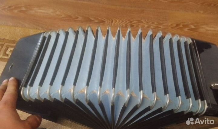 Баян Тула 209