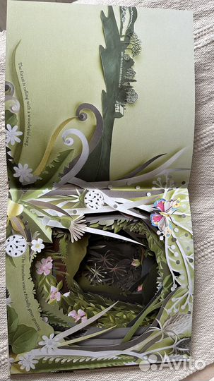 Книга A Walk throught the woods