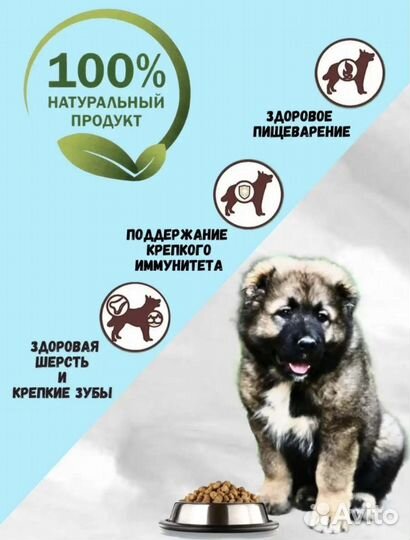 Корм для собак дилли