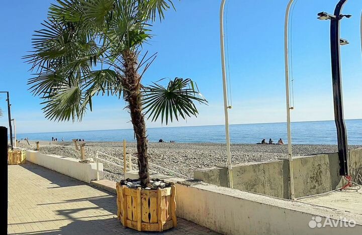 Отдых в Сочи на майские праздники