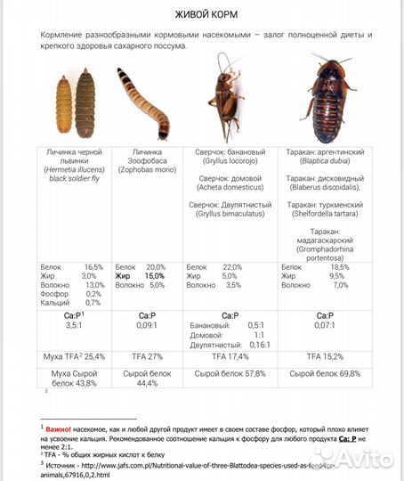 Корм для насекомоядных (ежей, сурикатов, поссумов)