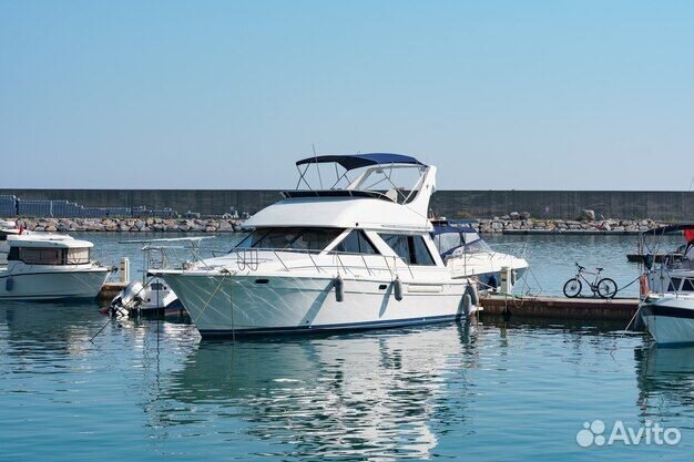 Заем в компанию аренды маломерных судов