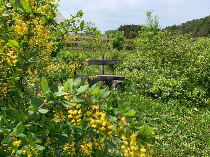 Дача 30 м² на участке 15 сот.