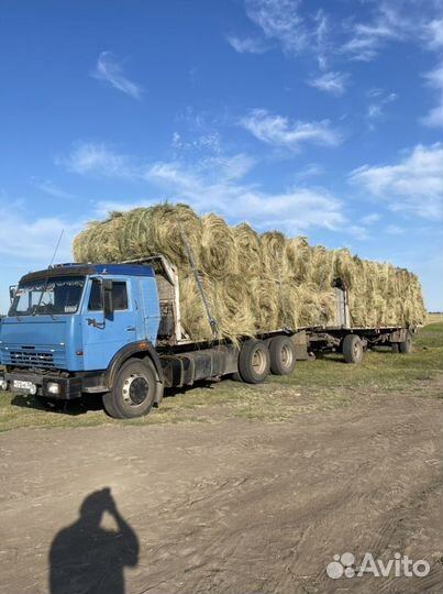 Сено в рулонах и тюках