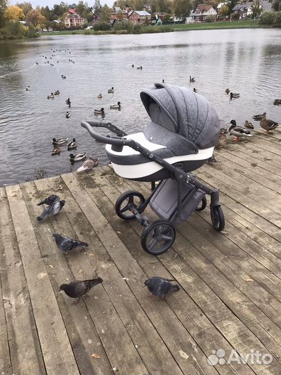 Коляска 2 в 1