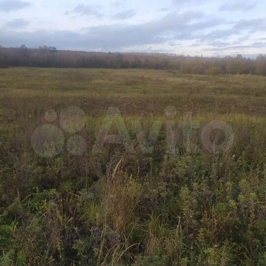 Участок 100 сот. (ИЖС)