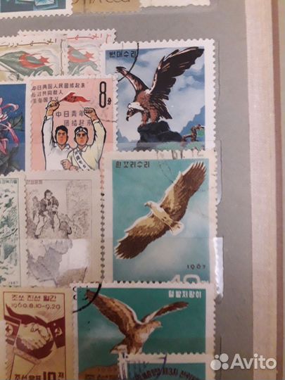 Марки цветы животные