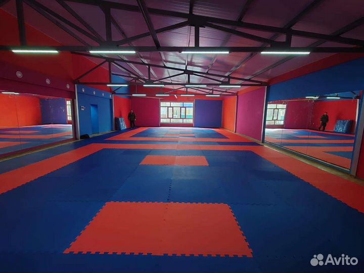 Татами будо маты