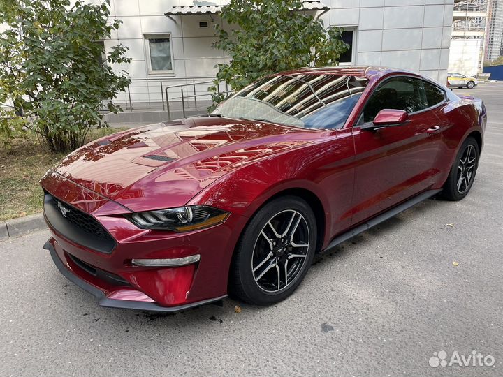Ford Mustang 2.3 AT, 2019, 51 000 км